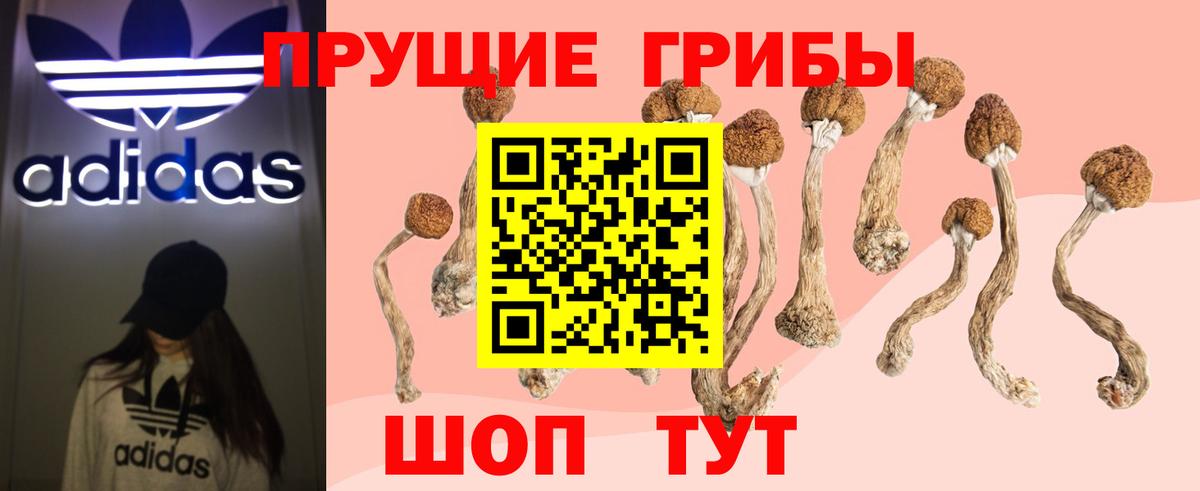 Псилоцибиновые грибы Cubensis Моршанск